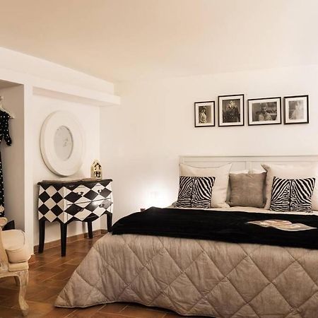 Lovely Colosseum Loft Apartment 罗马 外观 照片
